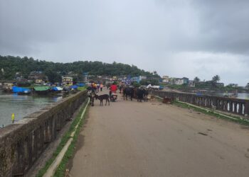 एकदरा पुलावर घाणीचे साम्राज्य