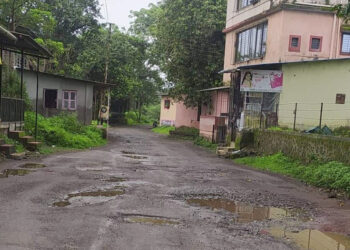 जांभुळपाडा-भेलीव मार्गाची दुरवस्था