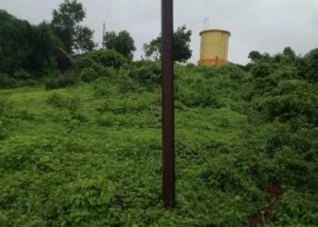 विद्युत खांब धोकादायक