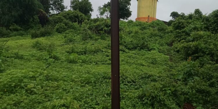 विद्युत खांब धोकादायक