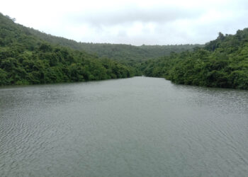 श्रीवर्धनमधील धरणांच्या देखभालीकडे दुर्लक्ष