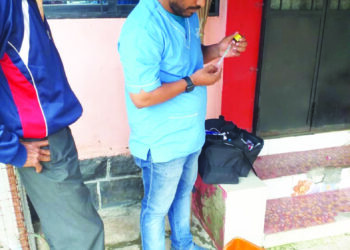 माथेरानमध्ये माकडाला जीवदान