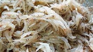 खराब हवामानाने मच्छिची आवक घटली