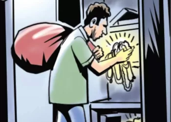 नोकराने केली हातसफाई