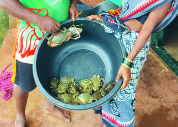 स्वदेसमुळे खेकडी उत्पादनास चालना