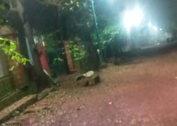 माथेरान स्टेशन ते अमन लॉज नॅरोगेज मार्ग प्रकाशमय