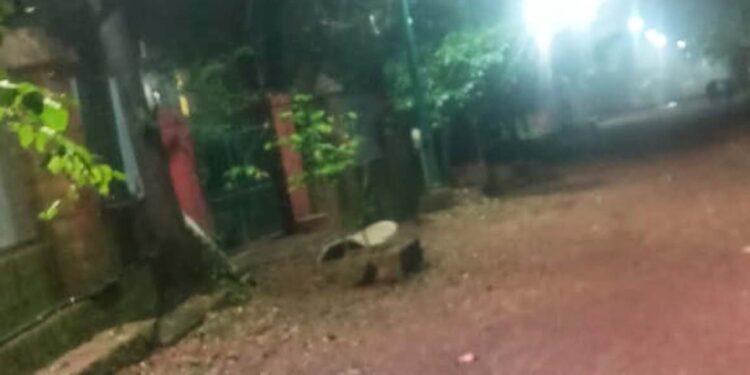 माथेरान स्टेशन ते अमन लॉज नॅरोगेज मार्ग प्रकाशमय