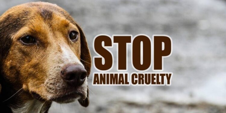 प्राण्यांशी क्रूरतेने वागणार्यांवर कारवाई करा