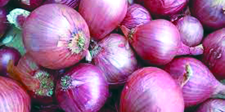 भाजीपाल्याचे दर वाढले; कांदा जैसे थे