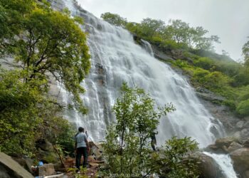 पर्यटकांनी फुलला सवतकडा