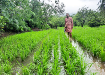 पंतप्रधान किसान सन्मान योजनेत केवायसीची मुदत वाढ