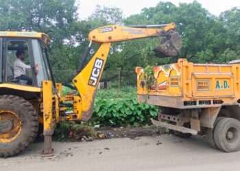 गणेशोत्सवापूर्वी स्वखर्चाने गावाची स्वच्छता