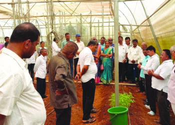 चिपळूणमध्ये प्रथमच इस्त्राइल तंत्रज्ञानाने टोमॅटो लागवड