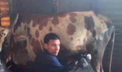 लम्पीमुळे दुग्ध व्यावसायिकांना फटका; गैरसमजामुळे ग्राहक संख्या घटली