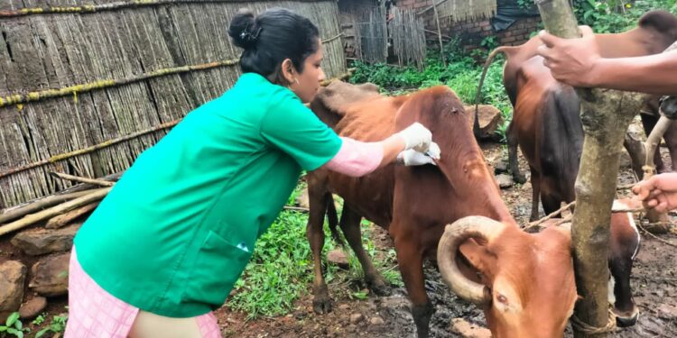 ‘लम्पी’ला प्रतिबंधाचा डोस