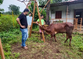 जिल्ह्यात वाढतोय लम्पीचा धोका