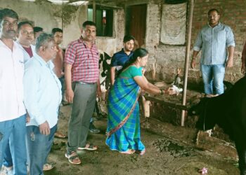 ‘लम्पी’ला रोखण्यासाठी मांदाटणे ग्रामपंचायत सज्ज