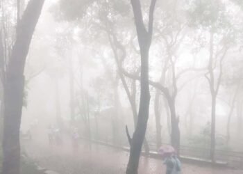 माथेरानमध्ये चार दिवसांपासून संततधार पाऊस