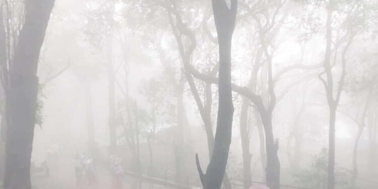 माथेरानमध्ये चार दिवसांपासून संततधार पाऊस