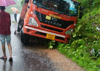 वाकण-पाली मार्गावर आयसर टेम्पोला अपघात