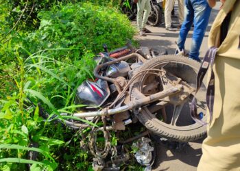 पोयनाड – नागोठणे मार्गावर भीषण अपघात