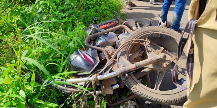 पोयनाड – नागोठणे मार्गावर भीषण अपघात