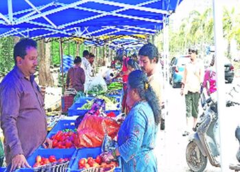 नवी मुंबईत पुन्हा आठवडे बाजार भरणार