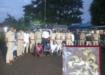 बिबट्याची नखे विकणारी टोळी गजाआड