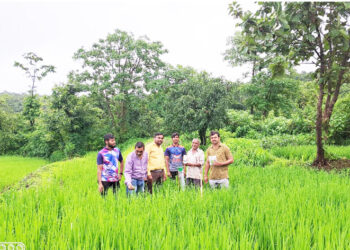 भातपिक शेती शाळेचे आयोजन