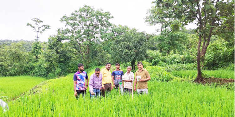 भातपिक शेती शाळेचे आयोजन