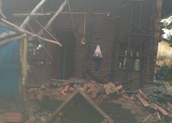 नैसर्गिक आपत्तीमुळे नुकसान