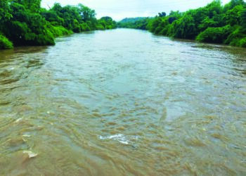 पाली तालुक्याला पावसाने झोडपले