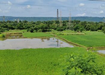 हातातोंडाशी आलेला घास गळून पडला