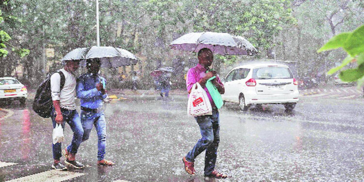 पनवेल-उरणलमध्ये पावसाची संततधार