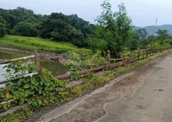 धक्कादायक! ब्रिटीशकालीन पुलावर होतेय पाईपची चोरी