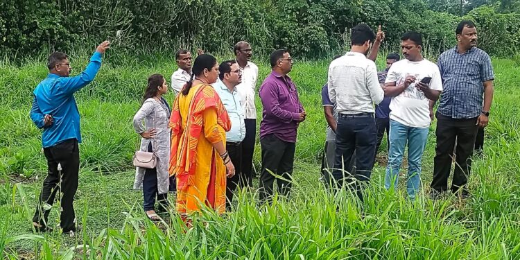 मोबाईल अ‍ॅपद्वारे पीक पेरणीची माहिती