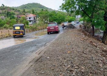 विहूर पुलाच्या संरक्षक भिंतीकडे दुर्लक्ष