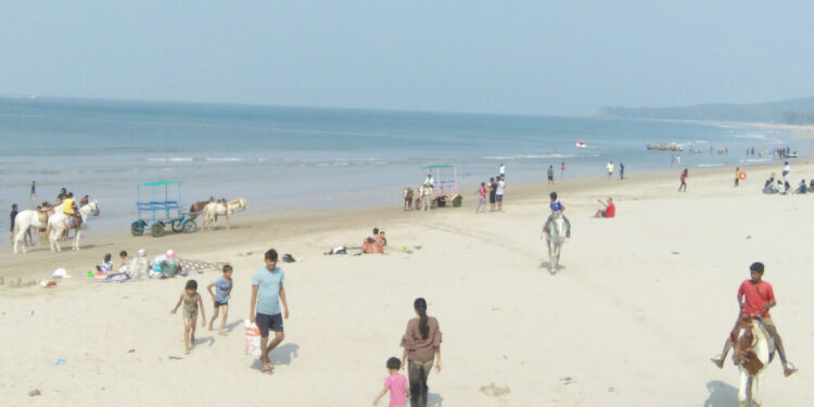 पर्यटकांचे आकर्षण चिकणी समुद्रकिनारा