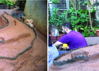 तरुणाईने साकारला शिवनेरी किल्ला