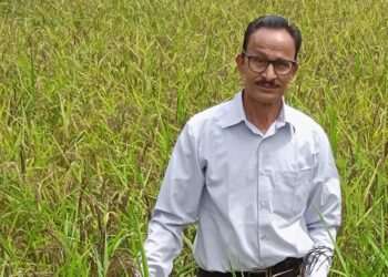 काळ्या तांदळाने उंचावणार जीवनमान