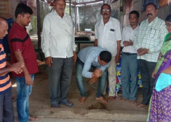 शिरवली येथे भात खरेदी केंद्र