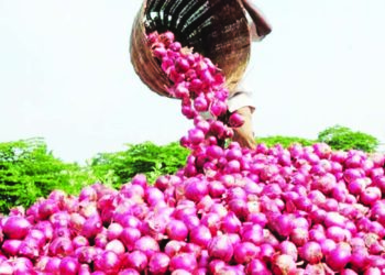 अवकाळीने कांद्याच्या दरात तेजी; साठवणुकीचा माल खराब