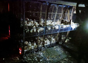 एक्स्प्रेसवेवर टेम्पोला भीषण आग