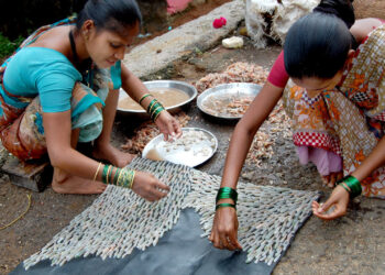 मुरुड समुद्रकिनारी मच्छीमारांना लॉटरी;जाळ्यात भरघोस कोळंबी