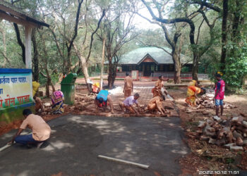 दवाखान्याच्या आवारात पेव्हर ब्लॉकचा उपयोग