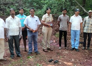 मुरुडः चोरुन आणलेल्या जनावरांची कत्तल?