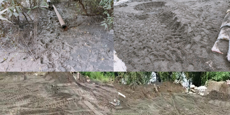 वाळूमाफियांविरोधात महसूल कर्मचार्‍यांची धाडसी कारवाई