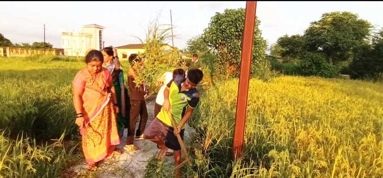 श्रीया फॉउंडेशनच्या माध्यमातून स्वच्छता अभियान