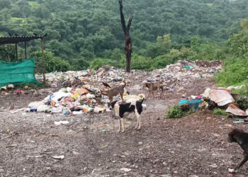 तळा तालुक्याला नागरी समस्यांनी ग्रासले