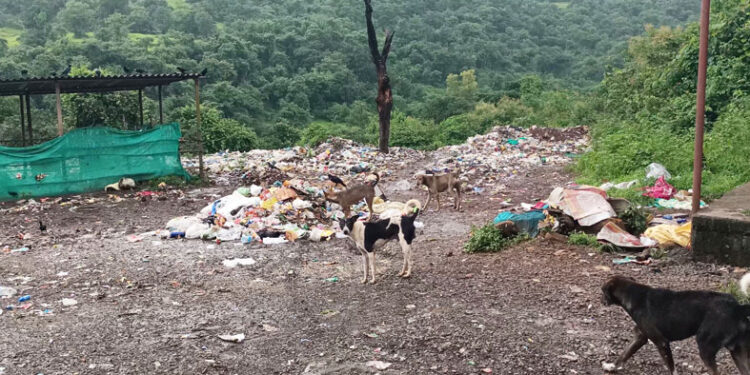 तळा तालुक्याला नागरी समस्यांनी ग्रासले